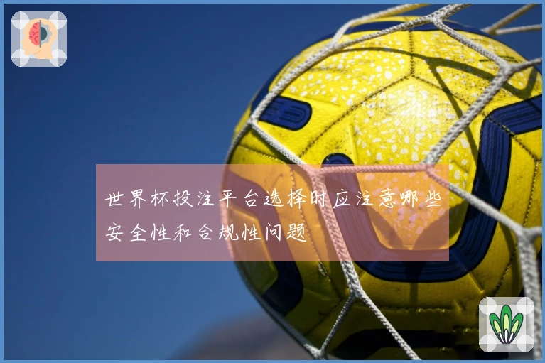 世界杯投注平台选择时应注意哪些安全性和合规性问题