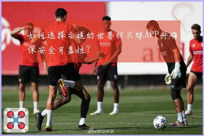 如何选择合适的世界杯买球APP并确保安全可靠性？