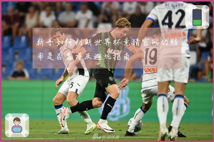 新手如何判断世界杯竞猜官网的赔率是否靠谱及避坑指南