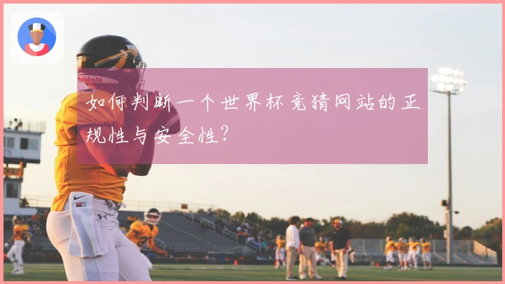 如何判断一个世界杯竞猜网站的正规性与安全性？