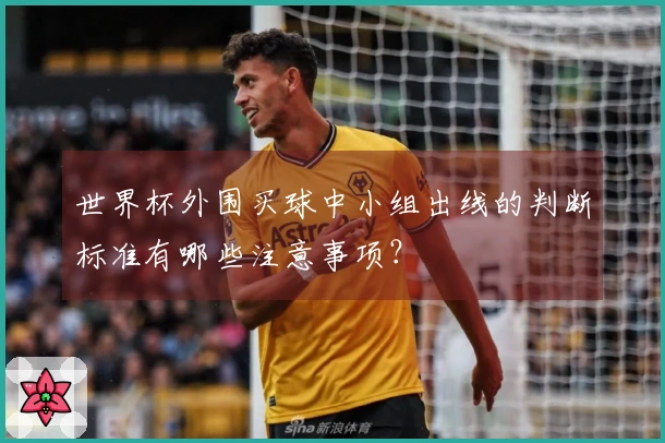 世界杯外围买球中小组出线的判断标准有哪些注意事项？