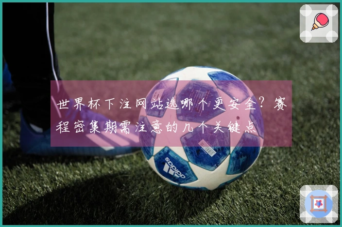 世界杯下注网站选哪个更安全？赛程密集期需注意的几个关键点