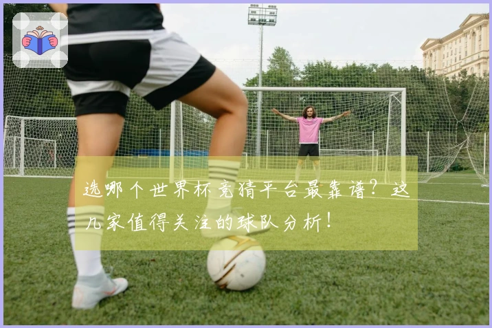 选哪个世界杯竞猜平台最靠谱？这几家值得关注的球队分析！