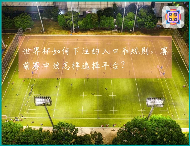 世界杯如何下注的入口和规则，赛前赛中该怎样选择平台？