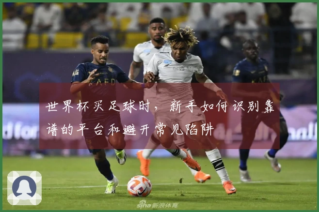 世界杯买足球时，新手如何识别靠谱的平台和避开常见陷阱