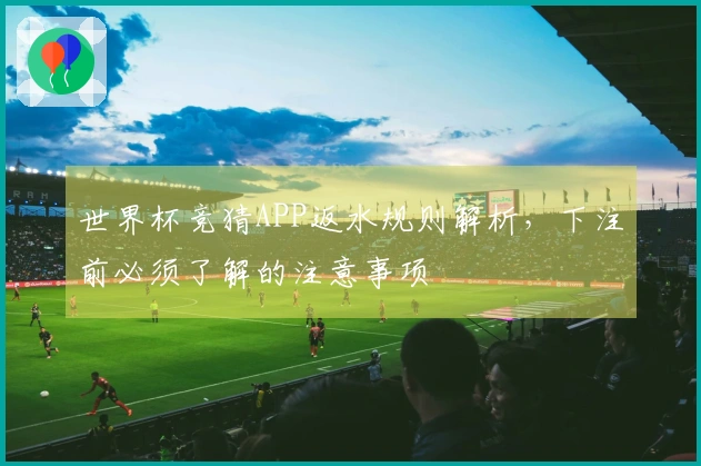 世界杯竞猜APP返水规则解析，下注前必须了解的注意事项