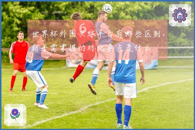 世界杯外围买球平台有哪些区别，新手需掌握的对比要点是什么
