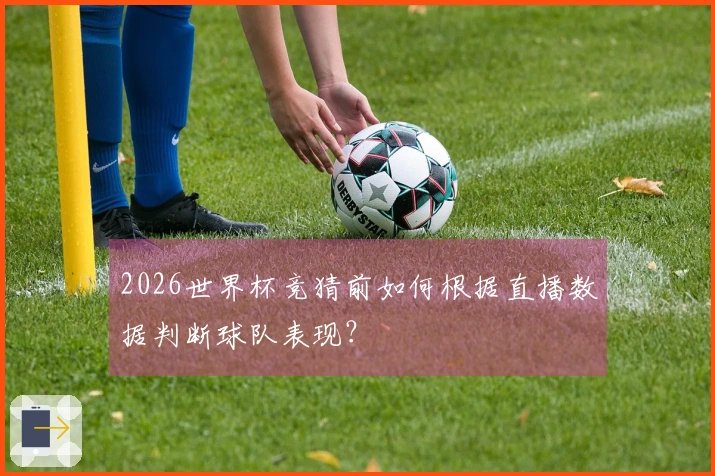 2026世界杯竞猜前如何根据直播数据判断球队表现？