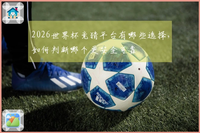 2026世界杯竞猜平台有哪些选择，如何判断哪个更安全可靠
