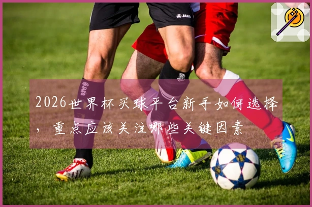 2026世界杯买球平台新手如何选择，重点应该关注哪些关键因素