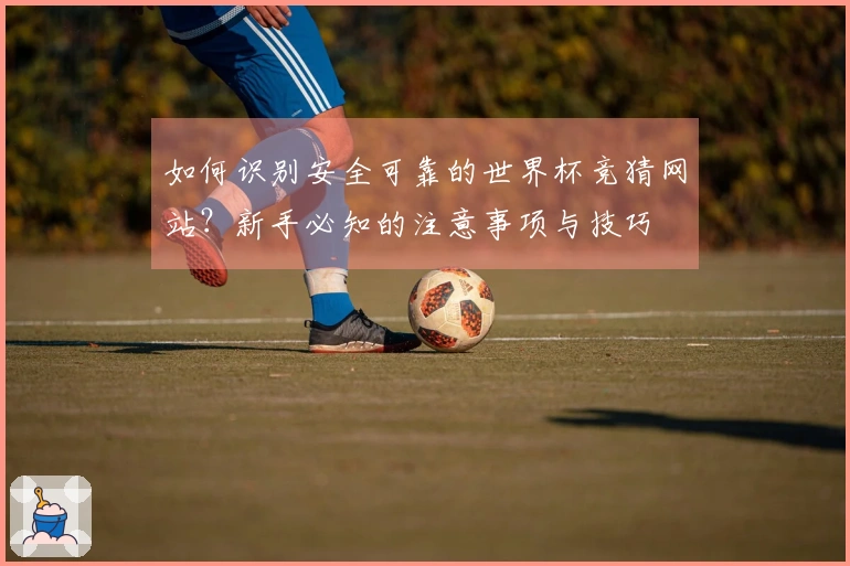 如何识别安全可靠的世界杯竞猜网站？新手必知的注意事项与技巧