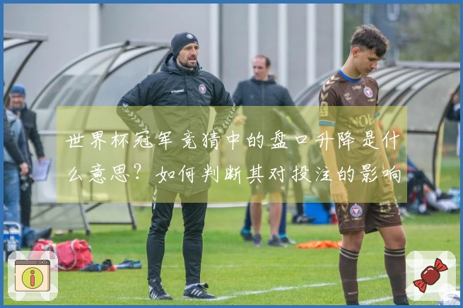 世界杯冠军竞猜中的盘口升降是什么意思？如何判断其对投注的影响？