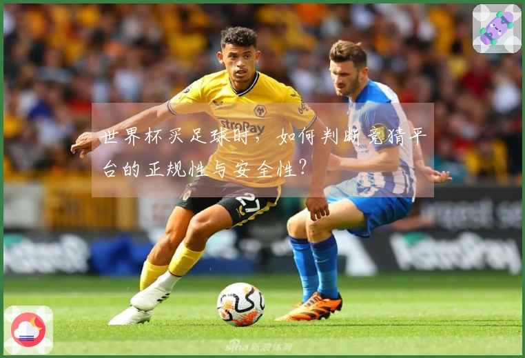 世界杯买足球时，如何判断竞猜平台的正规性与安全性？