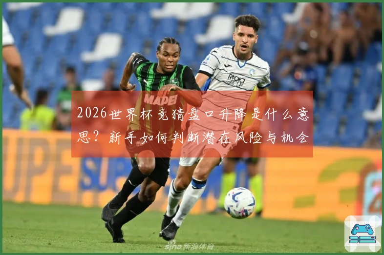 2026世界杯竞猜盘口升降是什么意思？新手如何判断潜在风险与机会