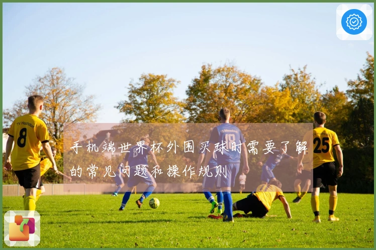 手机端世界杯外围买球时需要了解的常见问题和操作规则