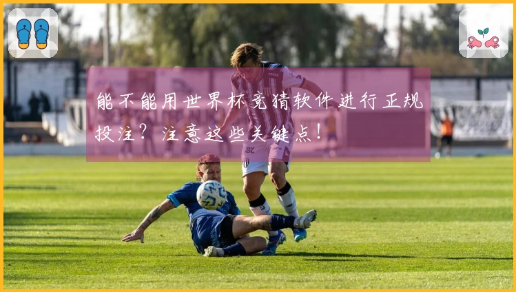 能不能用世界杯竞猜软件进行正规投注？注意这些关键点！