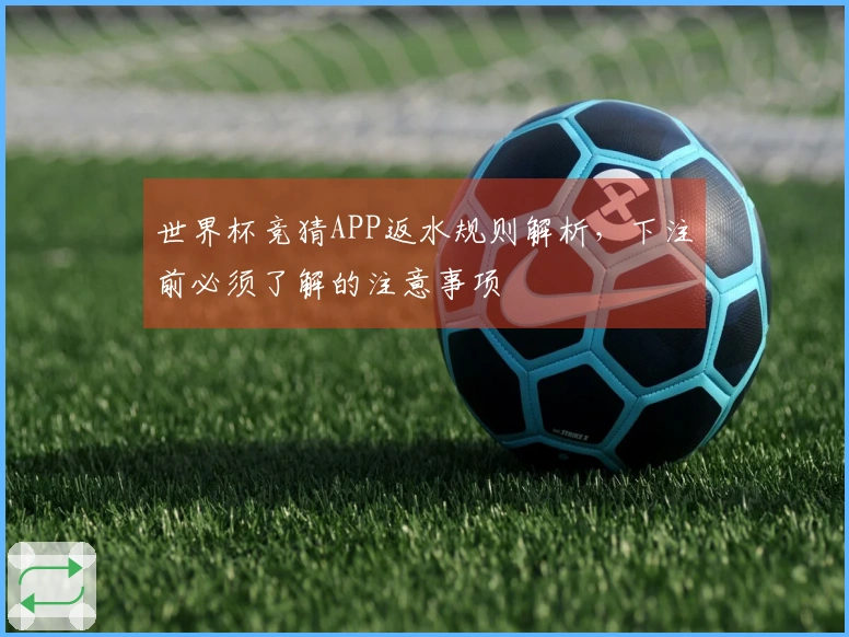 世界杯竞猜APP返水规则解析，下注前必须了解的注意事项