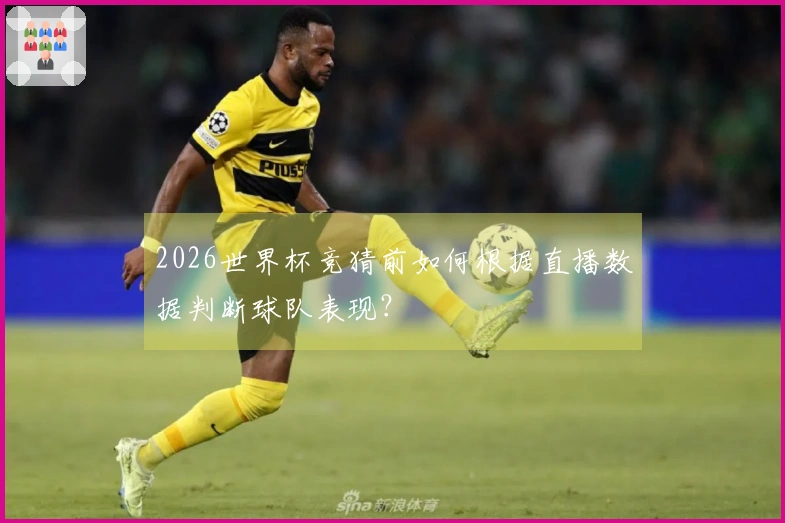 2026世界杯竞猜前如何根据直播数据判断球队表现？