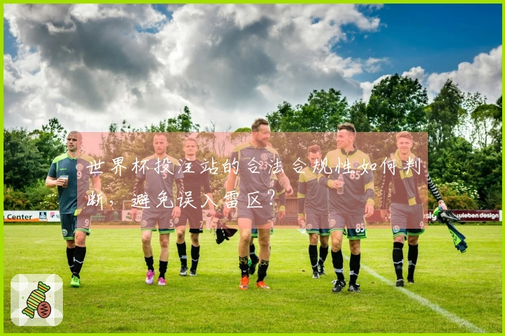 世界杯投注站的合法合规性如何判断，避免误入雷区？
