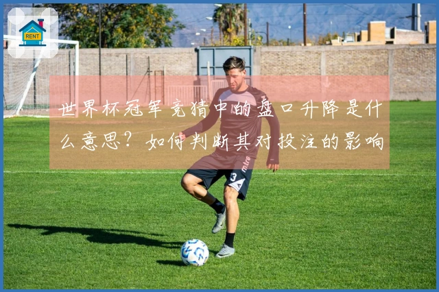 世界杯冠军竞猜中的盘口升降是什么意思？如何判断其对投注的影响？