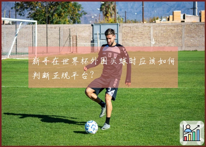 新手在世界杯外围买球时应该如何判断正规平台？