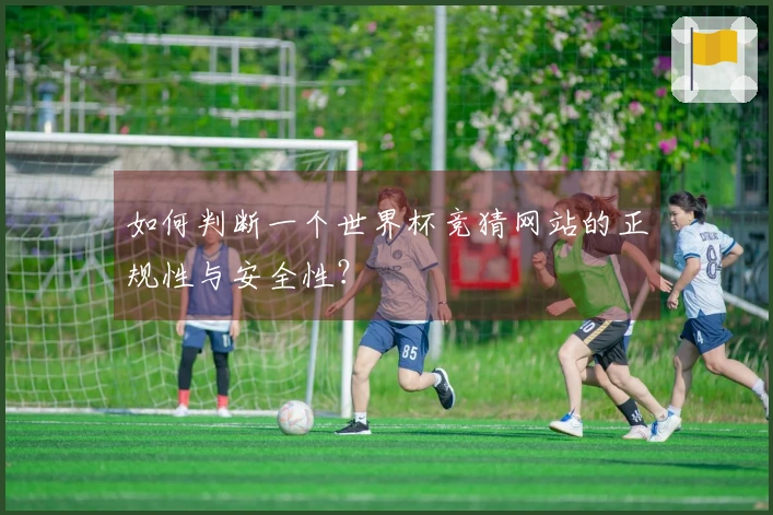 如何判断一个世界杯竞猜网站的正规性与安全性？