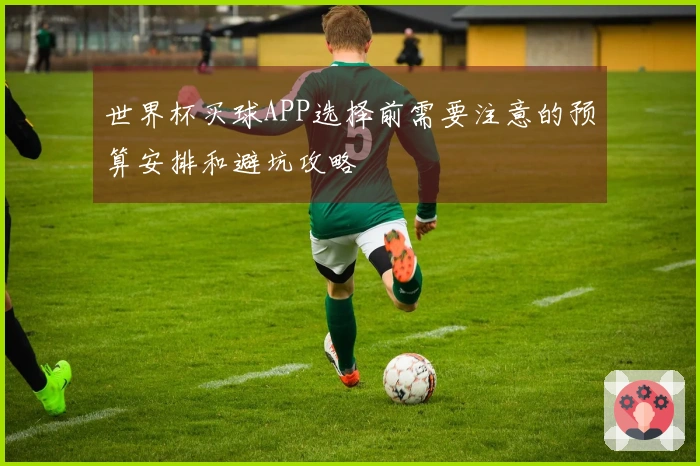 世界杯买球APP选择前需要注意的预算安排和避坑攻略