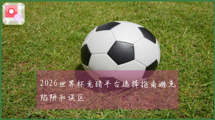 2026世界杯竞猜平台选择指南避免陷阱和误区