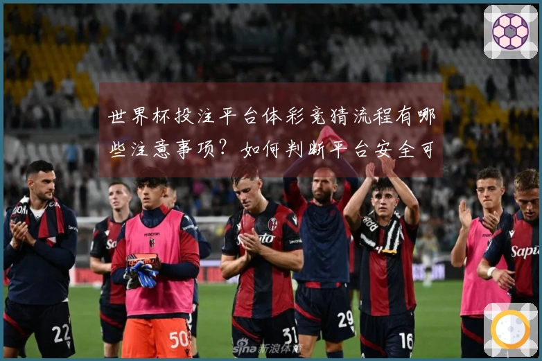 世界杯投注平台体彩竞猜流程有哪些注意事项？如何判断平台安全可靠
