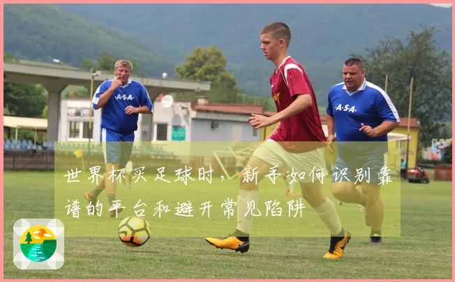世界杯买足球时，新手如何识别靠谱的平台和避开常见陷阱